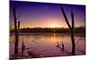 USA, Indiana, the Celery Bog Wetlands in Winter at Sunset-Rona Schwarz-Mounted Photographic Print