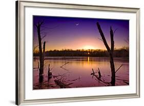 USA, Indiana, the Celery Bog Wetlands in Winter at Sunset-Rona Schwarz-Framed Photographic Print