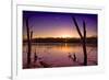 USA, Indiana, the Celery Bog Wetlands in Winter at Sunset-Rona Schwarz-Framed Photographic Print