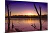 USA, Indiana, the Celery Bog Wetlands in Winter at Sunset-Rona Schwarz-Mounted Photographic Print