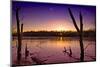 USA, Indiana, the Celery Bog Wetlands in Winter at Sunset-Rona Schwarz-Mounted Photographic Print