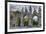 USA, Indianapolis, Indiana. the Entrance Gate to Crown Hill Cemetery-Rona Schwarz-Framed Photographic Print