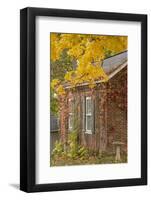 USA, Iowa, Mt Vernon. Brick House in Autumn-Don Grall-Framed Photographic Print