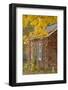 USA, Iowa, Mt Vernon. Brick House in Autumn-Don Grall-Framed Photographic Print