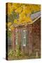 USA, Iowa, Mt Vernon. Brick House in Autumn-Don Grall-Stretched Canvas