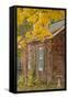 USA, Iowa, Mt Vernon. Brick House in Autumn-Don Grall-Framed Stretched Canvas