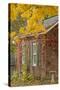 USA, Iowa, Mt Vernon. Brick House in Autumn-Don Grall-Stretched Canvas