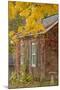 USA, Iowa, Mt Vernon. Brick House in Autumn-Don Grall-Mounted Photographic Print