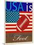 USA Is American Football-Joost Hogervorst-Mounted Art Print