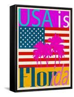 USA Is Florida-Joost Hogervorst-Framed Stretched Canvas