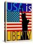 USA Is Liberty-Joost Hogervorst-Stretched Canvas