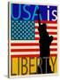 USA Is Liberty-Joost Hogervorst-Stretched Canvas