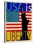 USA Is Liberty-Joost Hogervorst-Stretched Canvas