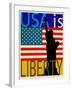 USA Is Liberty-Joost Hogervorst-Framed Art Print