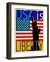USA Is Liberty-Joost Hogervorst-Framed Art Print