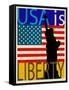USA Is Liberty-Joost Hogervorst-Framed Stretched Canvas