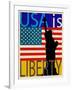 USA Is Liberty-Joost Hogervorst-Framed Art Print