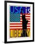 USA Is Liberty-Joost Hogervorst-Framed Art Print