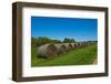 USA, Kansas, Minneapolis. Round bales of hay stacked in a row-Bernard Friel-Framed Photographic Print