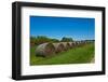 USA, Kansas, Minneapolis. Round bales of hay stacked in a row-Bernard Friel-Framed Photographic Print