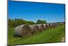 USA, Kansas, Minneapolis. Round bales of hay stacked in a row-Bernard Friel-Mounted Photographic Print