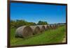 USA, Kansas, Minneapolis. Round bales of hay stacked in a row-Bernard Friel-Framed Photographic Print