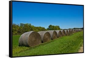 USA, Kansas, Minneapolis. Round bales of hay stacked in a row-Bernard Friel-Framed Stretched Canvas