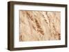 USA, Kansas, Wheat at Harvest Time.-Michael Scheufler-Framed Photographic Print