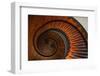 USA, Kentucky, Pleasant Hill, Spiral Staircase at the Shaker Village-Joanne Wells-Framed Photographic Print