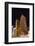 USA, Las Vegas, City Centre, Night Photography-Catharina Lux-Framed Photographic Print