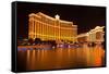 USA, Las Vegas, Hotel Bellagio-Catharina Lux-Framed Stretched Canvas