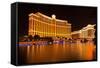 USA, Las Vegas, Hotel Bellagio-Catharina Lux-Framed Stretched Canvas