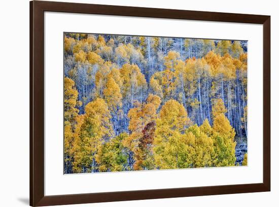 USA, Lee Vining, California. Conway Pass, Mono County.-Joe Restuccia III-Framed Premium Photographic Print