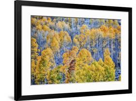 USA, Lee Vining, California. Conway Pass, Mono County.-Joe Restuccia III-Framed Premium Photographic Print