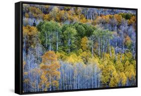 USA, Lee Vining, California. Conway Pass, Mono County.-Joe Restuccia III-Framed Stretched Canvas