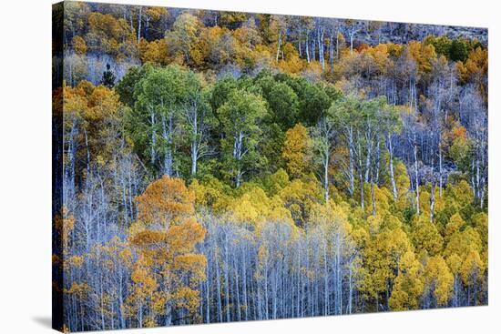 USA, Lee Vining, California. Conway Pass, Mono County.-Joe Restuccia III-Stretched Canvas