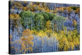 USA, Lee Vining, California. Conway Pass, Mono County.-Joe Restuccia III-Stretched Canvas