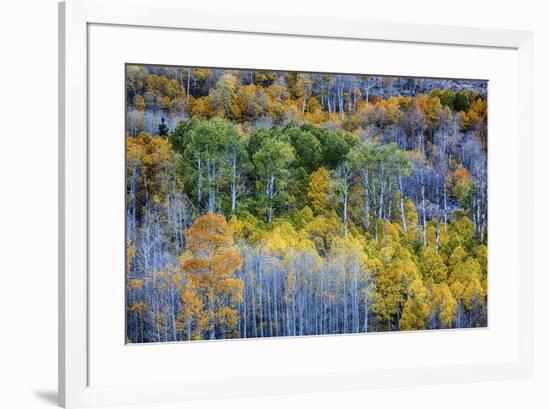 USA, Lee Vining, California. Conway Pass, Mono County.-Joe Restuccia III-Framed Premium Photographic Print