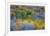 USA, Lee Vining, California. Conway Pass, Mono County.-Joe Restuccia III-Framed Premium Photographic Print