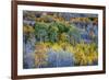 USA, Lee Vining, California. Conway Pass, Mono County.-Joe Restuccia III-Framed Premium Photographic Print