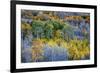 USA, Lee Vining, California. Conway Pass, Mono County.-Joe Restuccia III-Framed Premium Photographic Print