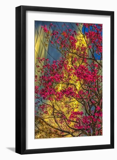 USA, Los Angeles, Ca, the Disney Center in Spring-Rona Schwarz-Framed Premium Photographic Print