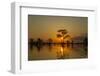 USA, Louisiana, Atchafalaya National Wildlife Refuge. Sunrise on swamp.-Jaynes Gallery-Framed Photographic Print