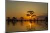 USA, Louisiana, Atchafalaya National Wildlife Refuge. Sunrise on swamp.-Jaynes Gallery-Mounted Photographic Print