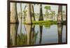 USA, Louisiana, Miller's Lake. Tupelo trees in lake.-Jaynes Gallery-Framed Photographic Print