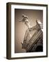 USA, Louisiana, New Orleans-Area, Metarie, Metairie Cemetery-Walter Bibikow-Framed Photographic Print