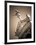 USA, Louisiana, New Orleans-Area, Metarie, Metairie Cemetery-Walter Bibikow-Framed Photographic Print