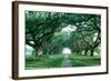 USA, Louisiana, New Orleans, brick path through alley of oak trees-null-Framed Photographic Print