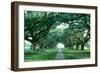 USA, Louisiana, New Orleans, brick path through alley of oak trees-null-Framed Photographic Print