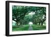 USA, Louisiana, New Orleans, brick path through alley of oak trees-null-Framed Photographic Print